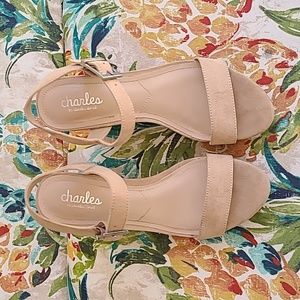 * Last Chance Sale* Charles by Charles David Wedge Heels